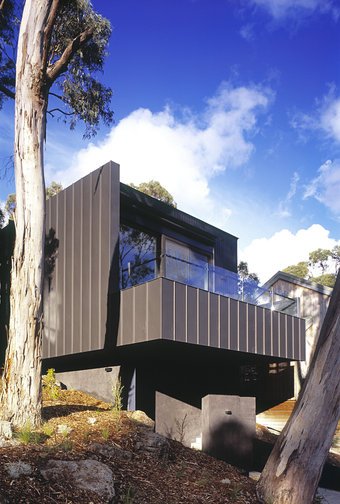 Tree house - FMD Architects