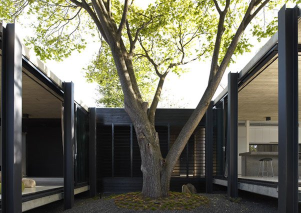 Elm & Willow House - Architects EAT